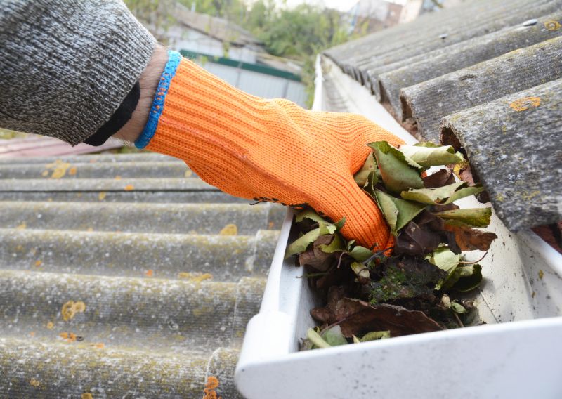 Commercial Gutter Cleaning in Denver County, CO