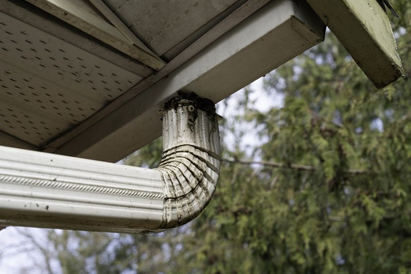 Downspout Cleaning in Baltimore, MD
