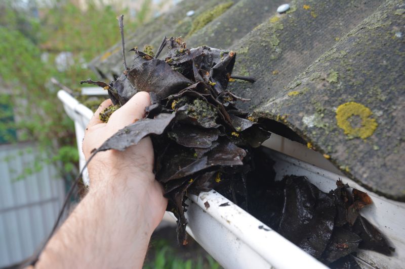 Gutter Leaves Removal in Annapolis, MD