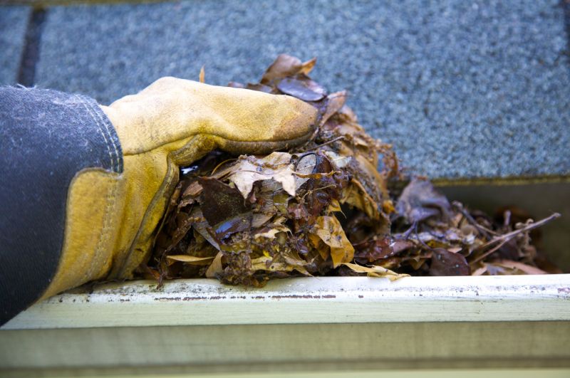 Gutter Leaves Removal in Richmond, VA