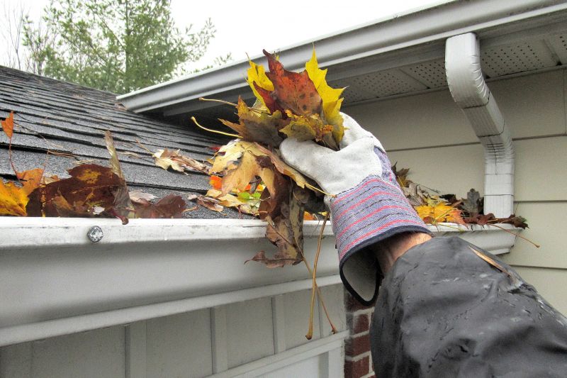 Roof Gutter Cleaning in Arvada, CO