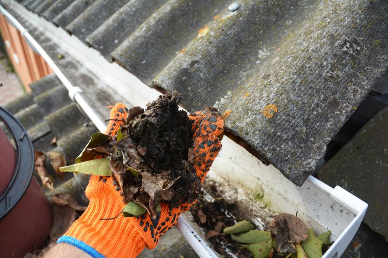Roof Gutter Cleaning in Morris County, NJ